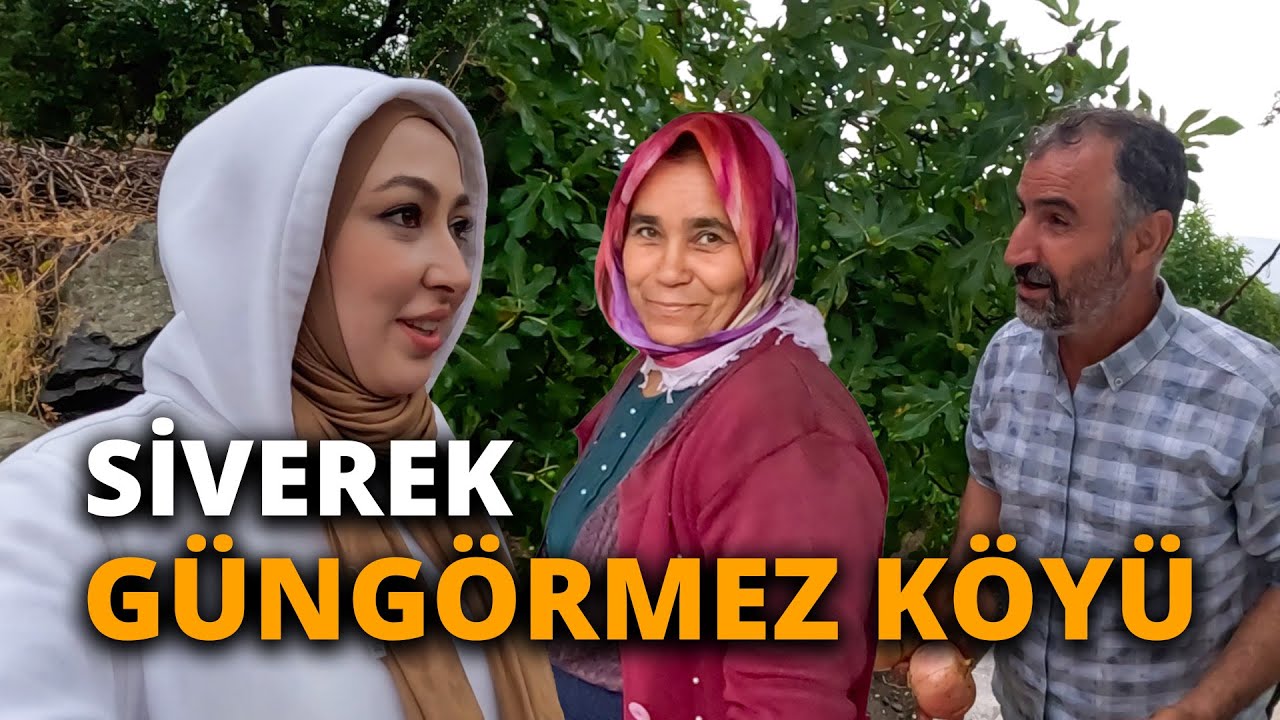 ŞANLIURFA-SİVEREK-GÜNGÖRMEZ KÖYÜ #225