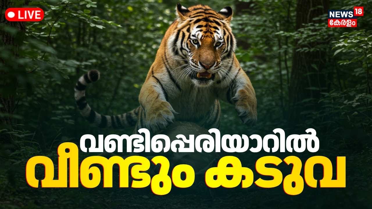 🔴LIVE | Vandiperiyar Tiger Attack | Wild Animal Attack Kerala | Idukki Tiger Attack | Malayalam News