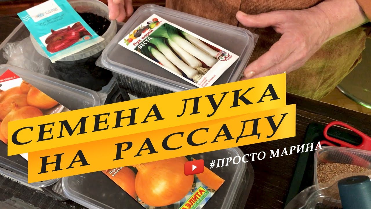 Посев семян лука на рассаду.