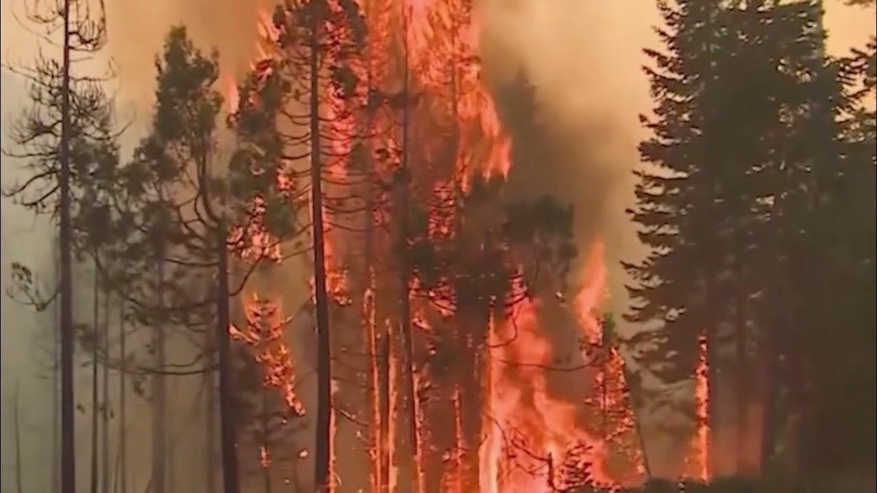 Coalition to close wildfire funding gap