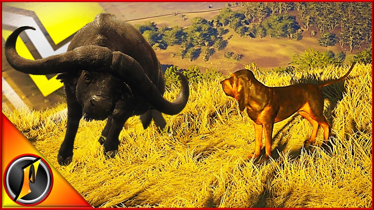 Reaching the Max Bloodhound Level & Testing the Brave Trait!