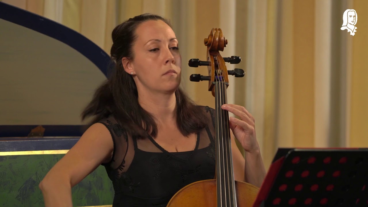 J. M. Molter: Concertino e-Moll MWV 9.30 | Camerata Bachiensis