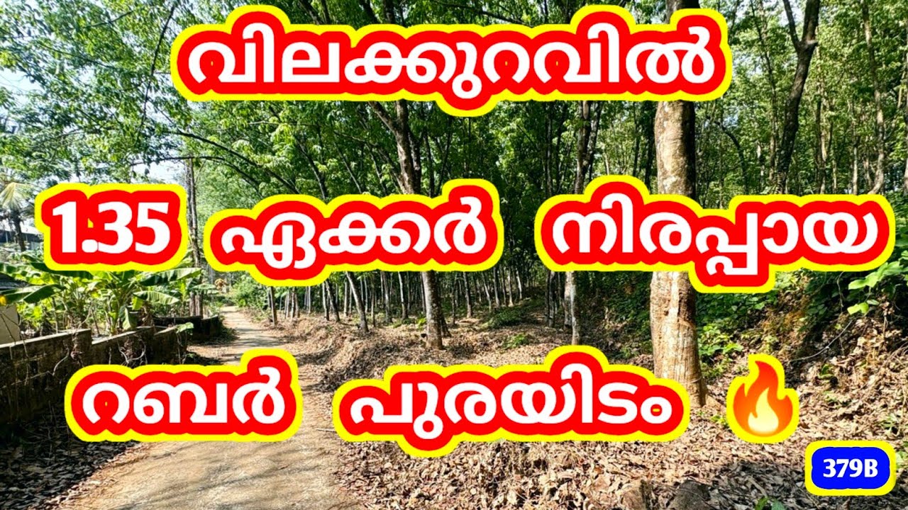 വിലക്കുറവിൽ 1.35 ഏക്കർ നിരപ്പായ റബർ പുരയിടം | Ref No: 379B | Kerala Land for Sale | value for money 