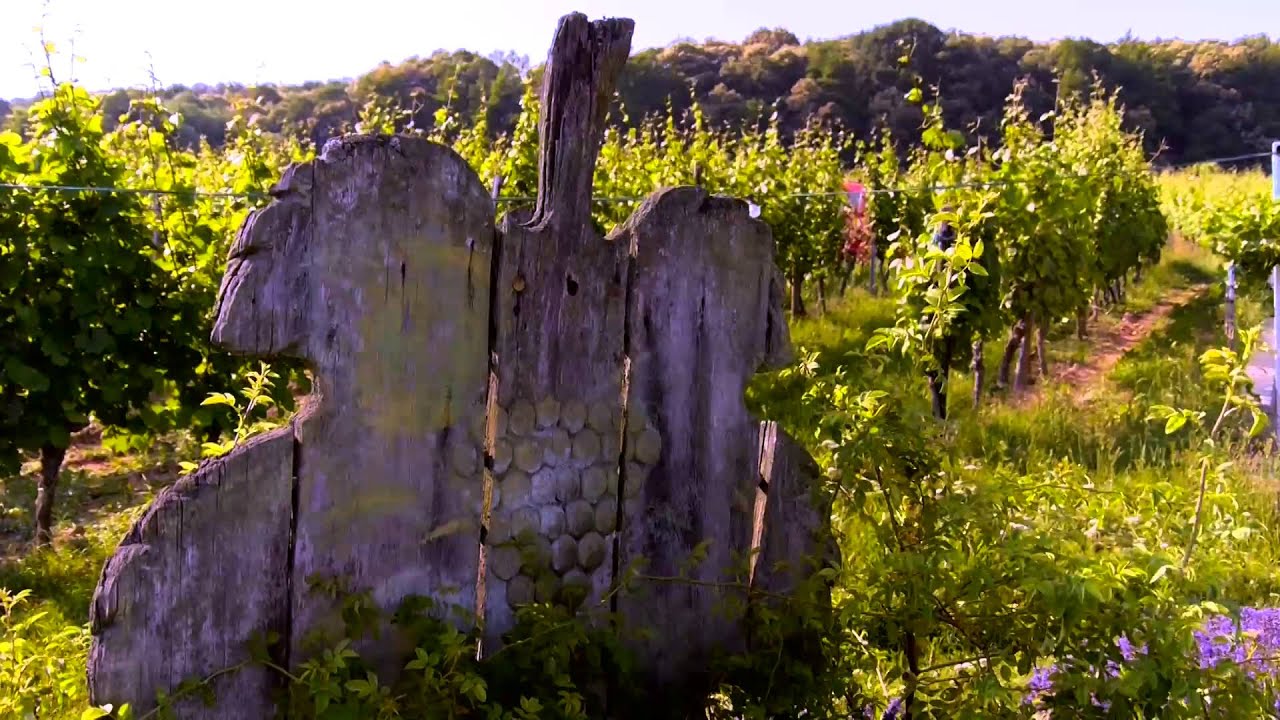1. Deutscher Weinlehrpfad in Schweigen- Rechtenbach