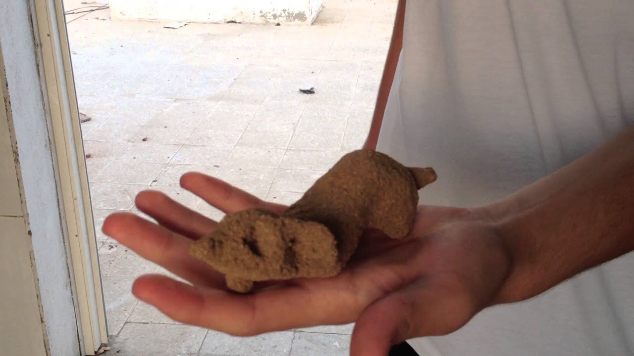 Mohammed Al-Nasher tells his opinion about my sand sculpture.