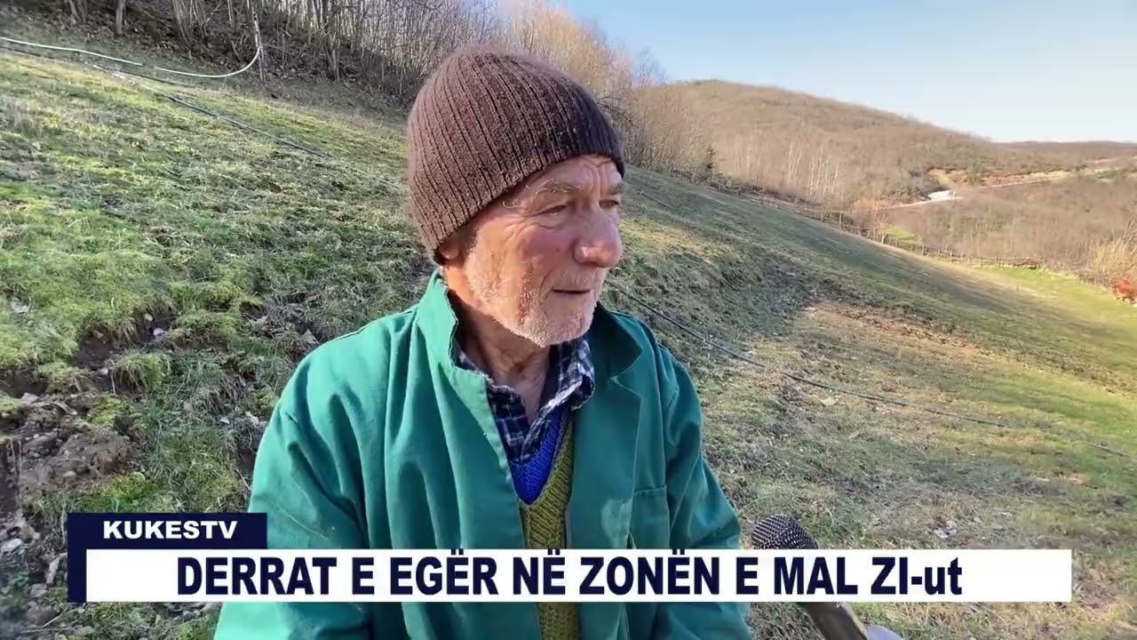 DERRAT E EGËR NË ZONËN E MAL ZI-ut - KUKESTV.AL