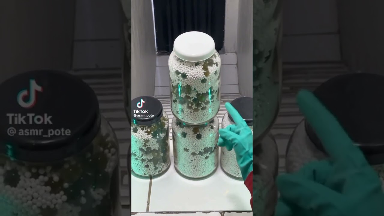 Bottles Rolling Down Stairs ASMR (Tiktok Compilation)