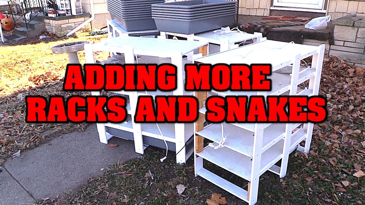 We get more racks, and SNAKES.  Small EXPANSION at OLYMPUS!