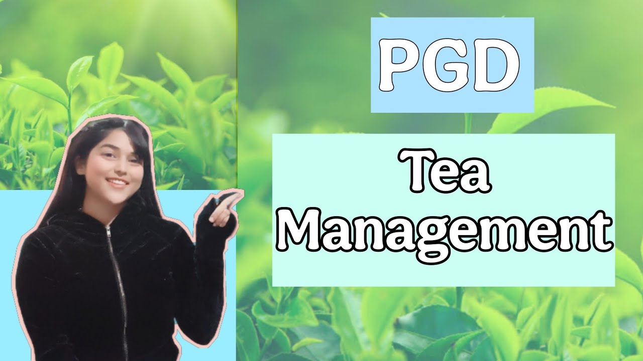 PGD Tea management Course //Assamese