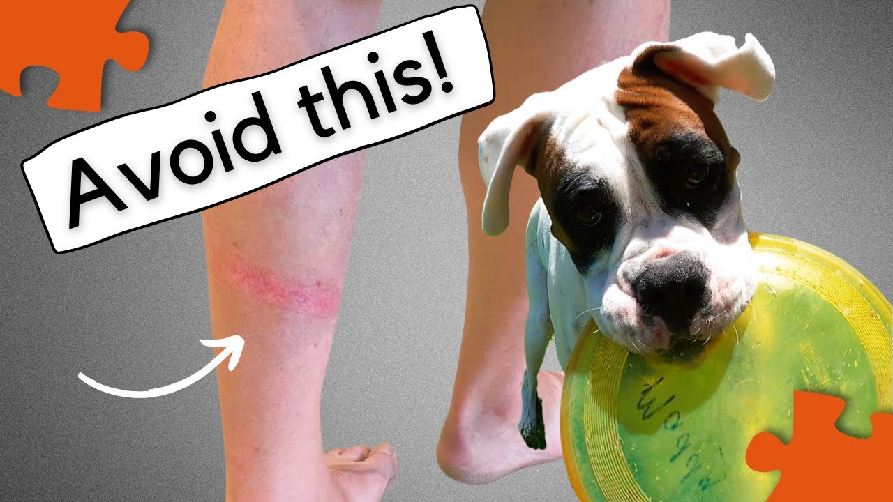No more rope burn! How to use a longline safely