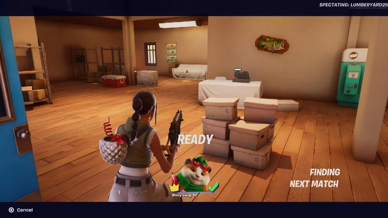 Fortnite Solo