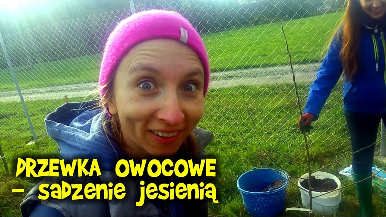 Jakie drzewka owocowe zasadziliśmy jesienią + modliszka w ogrodzie