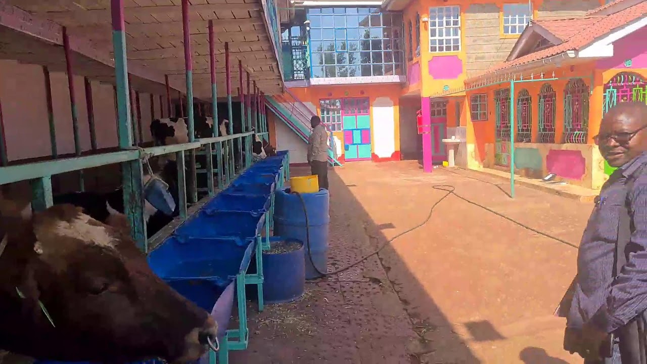 Be Your Own Boss Agriculture and Livestock// Benchmark Trip Day One// Farm Three: Sampal Dairy Farm