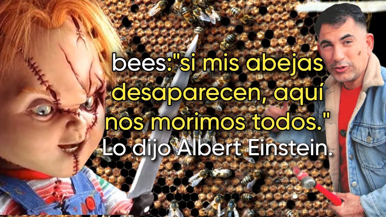 Cómo reubicar abejas #125