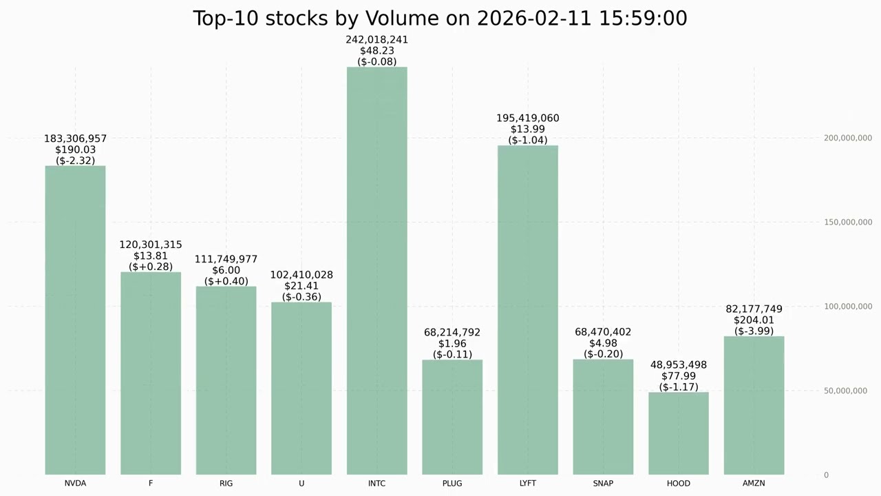 Top-10 stocks by Volume on 2026-02-11