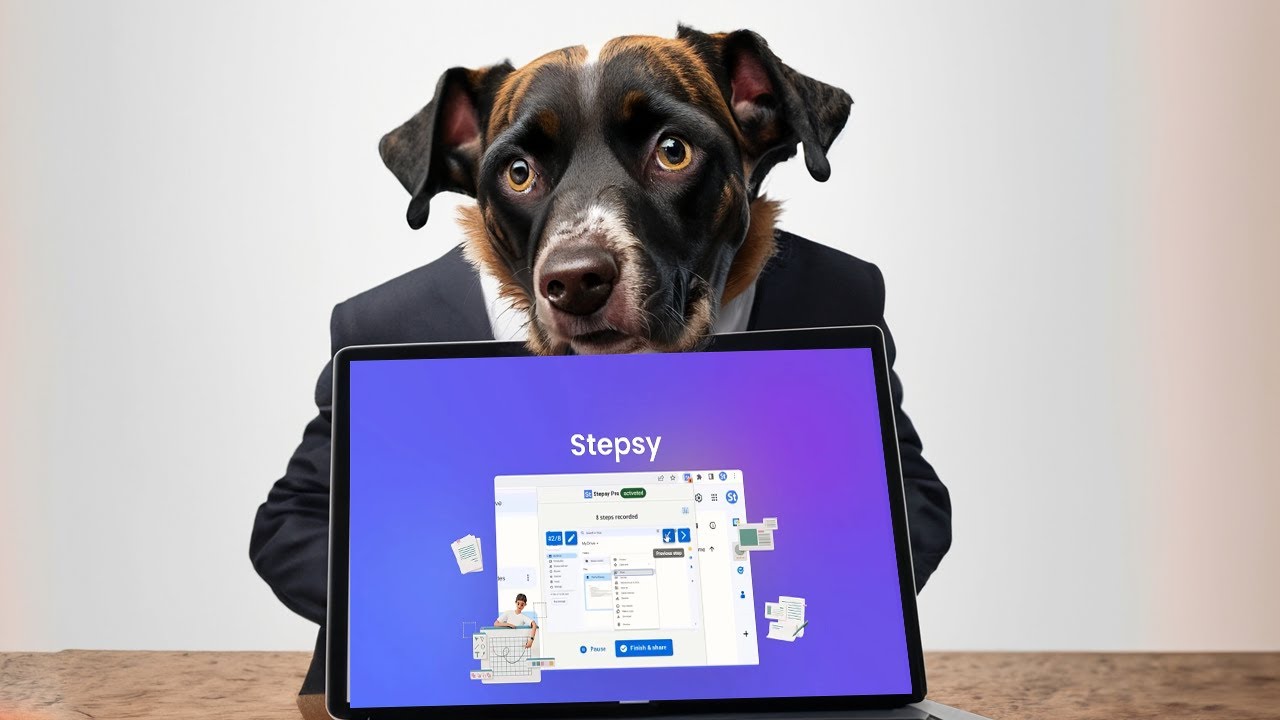 Stepsy Review