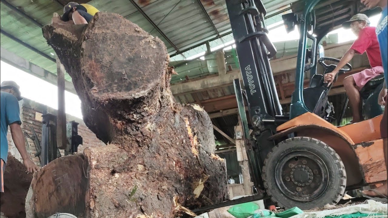 СТАРЫЕ ВЕТКИ ДЕРЕВЬЕВ РАСПИЛЕНЫ В УДИВИТЕЛЬНЫЕ ДЕРЕВЯННЫЕ ПЛИТКИ