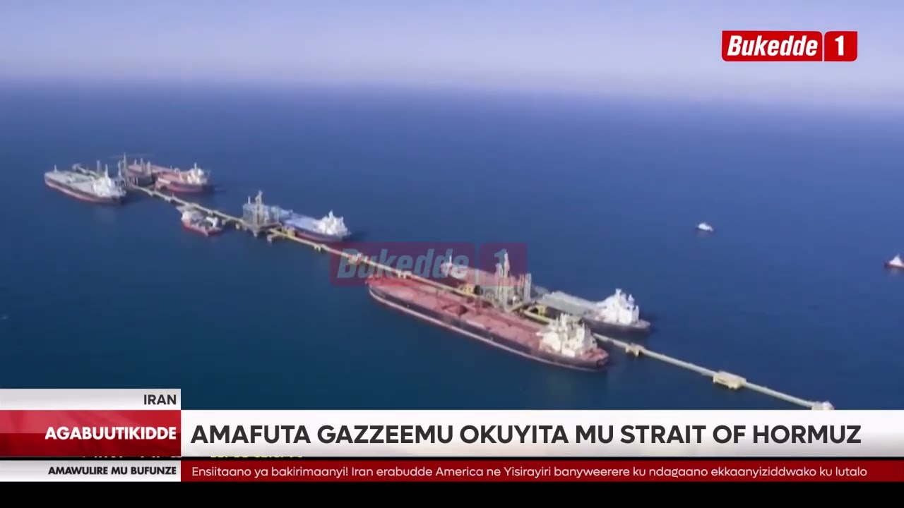 Трамп приостановил войну с Ираном на две недели.