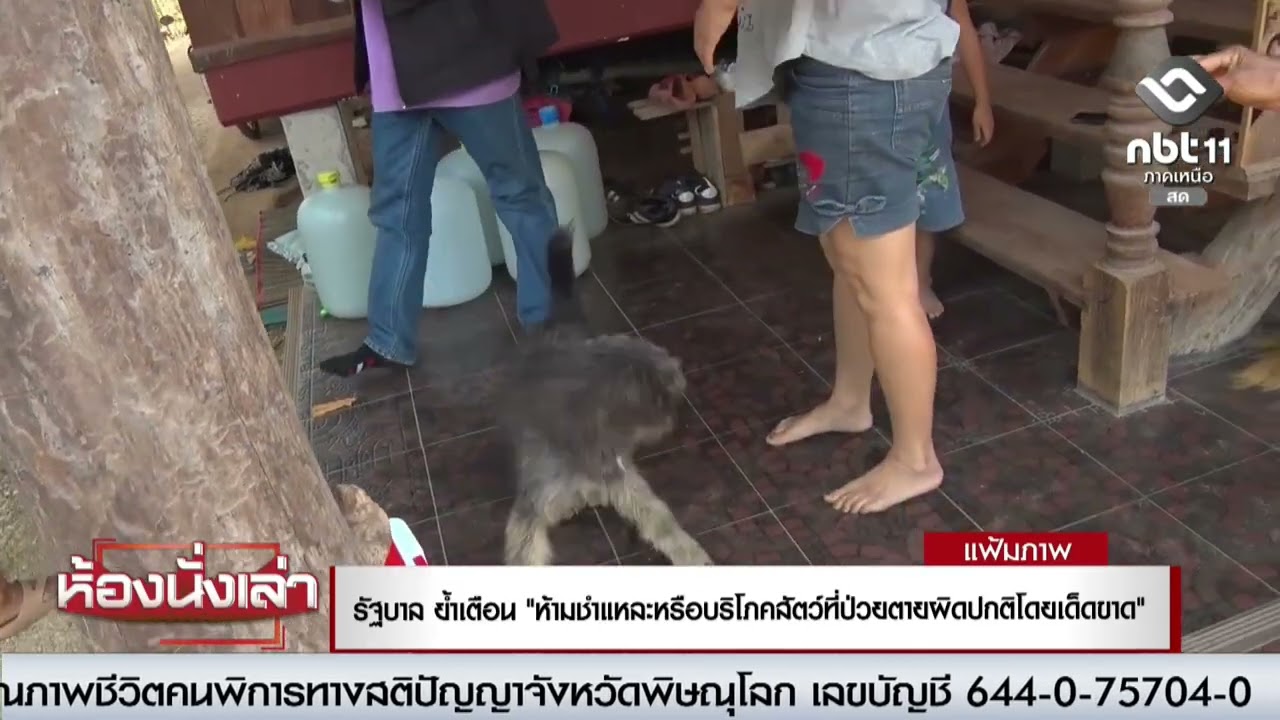 รัฐบาล ย้ำเตือน 