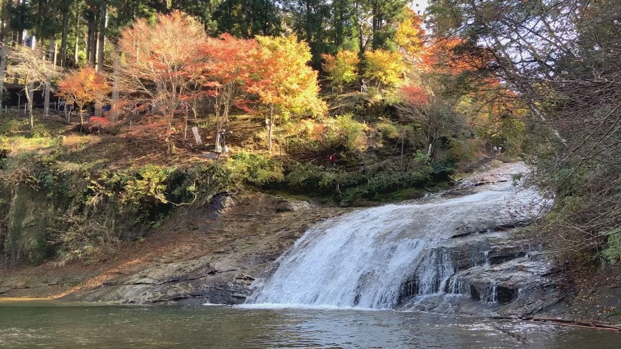 養老渓谷で紅葉が見頃 房総、滝の名所