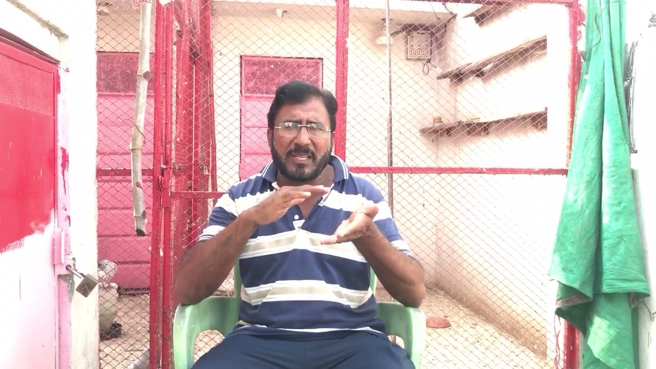 کبوتروں میں پھڑکوں کے دوران سوزش اور پر شیل کیلئے دنیا کا بہترین نسخہ 🕊️💯🌍