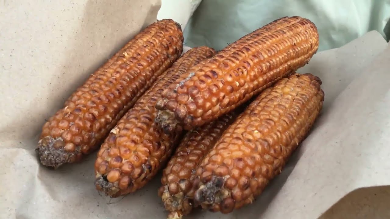 FRIED CORN IN SAND & SALT!! | TASTY Pakistani Bhutta & Grilled Corn | Pakistani Street Food | Challi