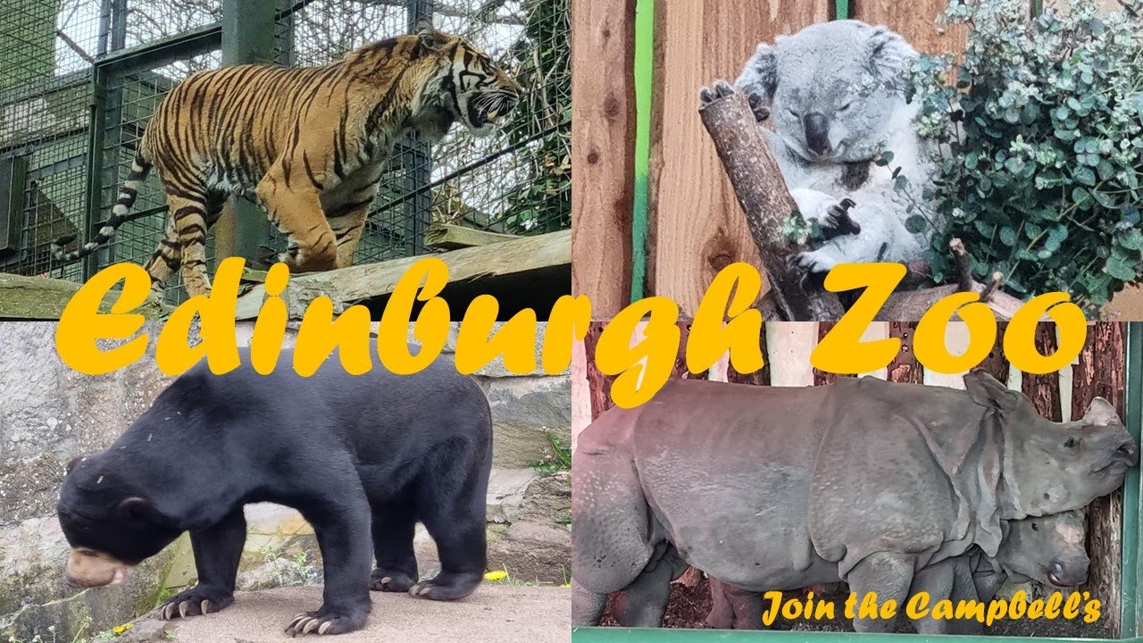 Edinburgh Zoo July 2022