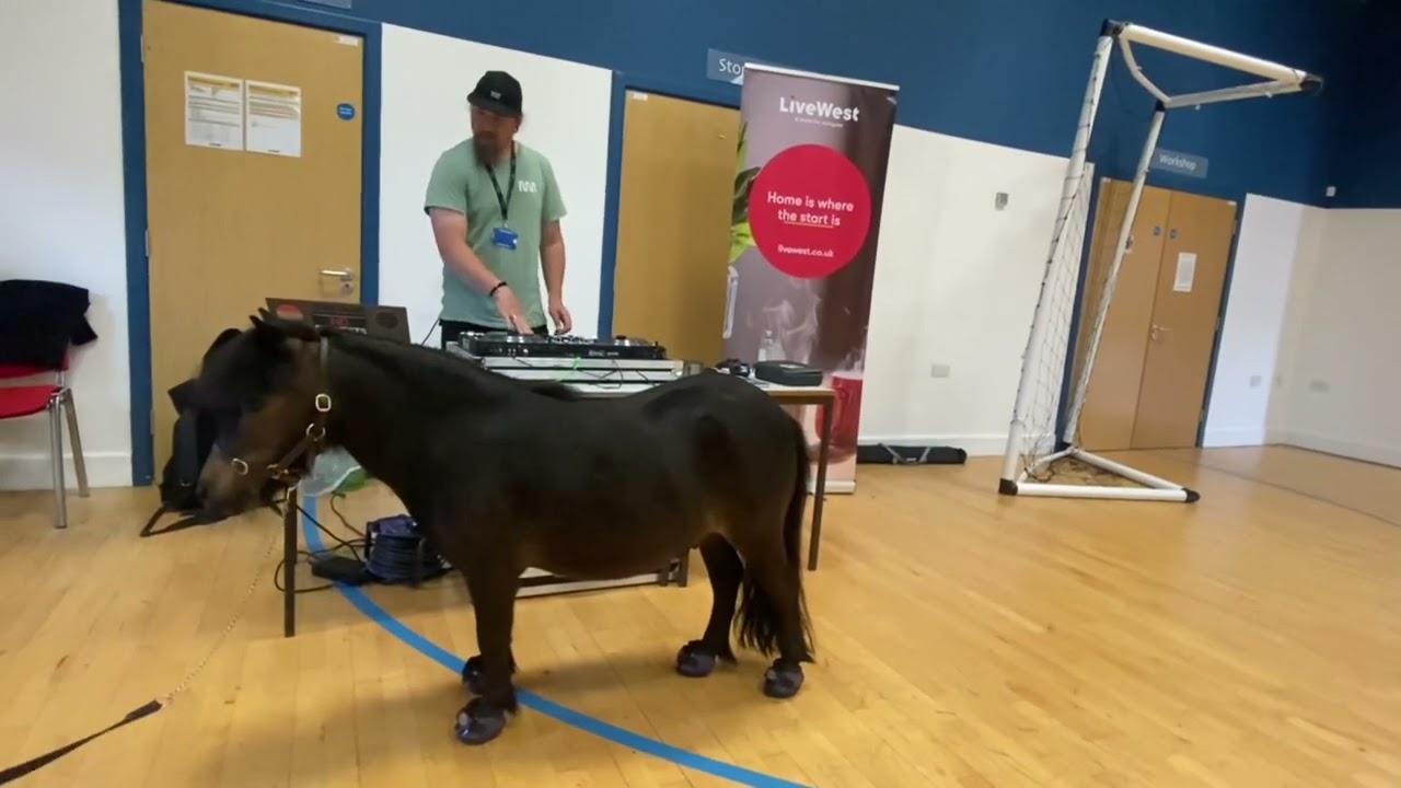 DJ Pony