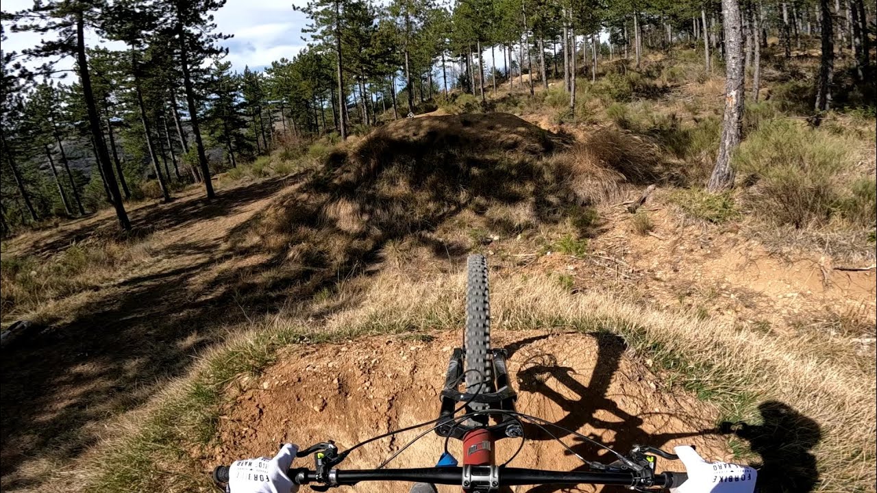 EVO Bike Park : Piste Double Black Mamba 2022