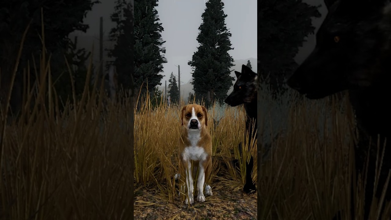 🐶 Finding Carmella, the Lost Dog of Lost River 🐶 #wolfquestsaga #wolfquest #shorts #lostriver