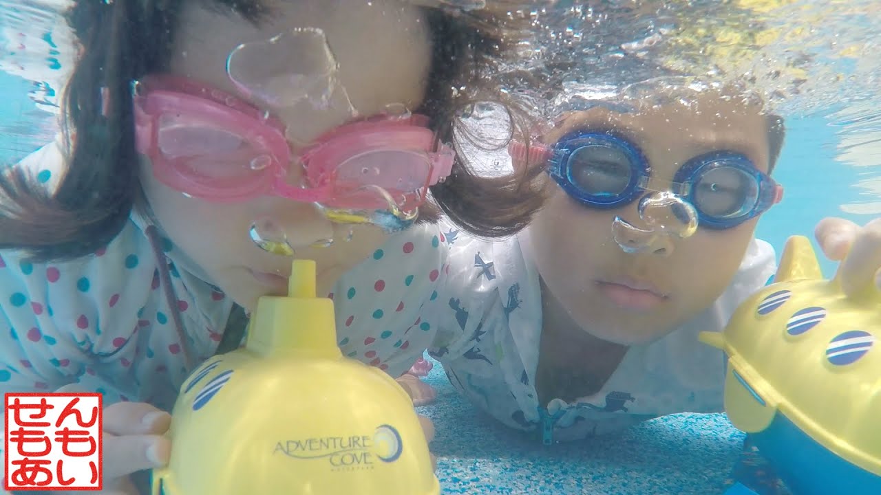 Adventure Cove Waterpark であそぶせんももあい (2回目)