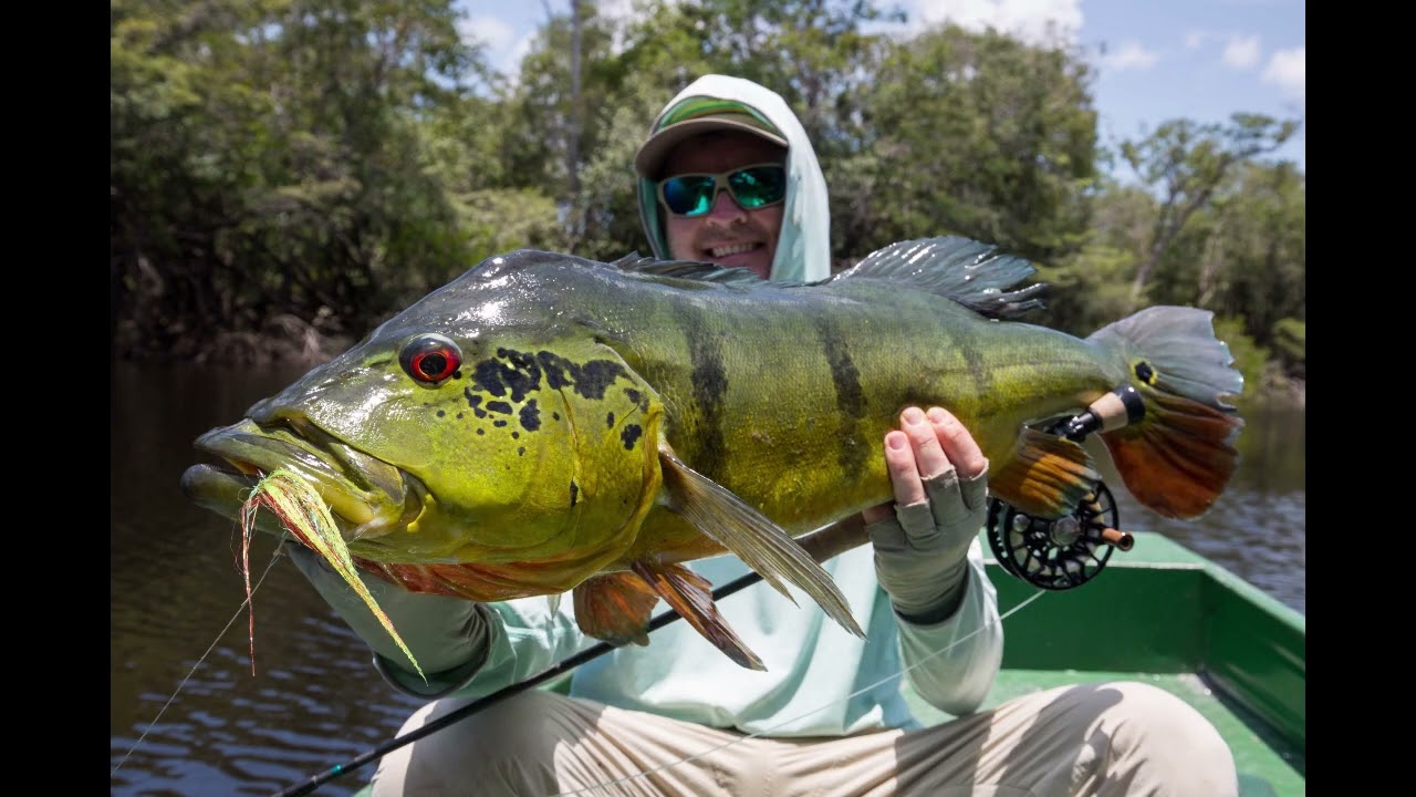 Fly Fishing the Agua Boa River in Northwest Brazil