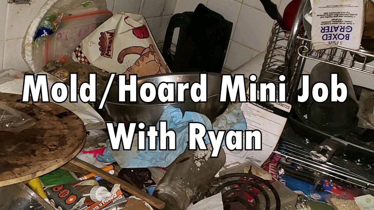 Mold/Hoard Mini Job