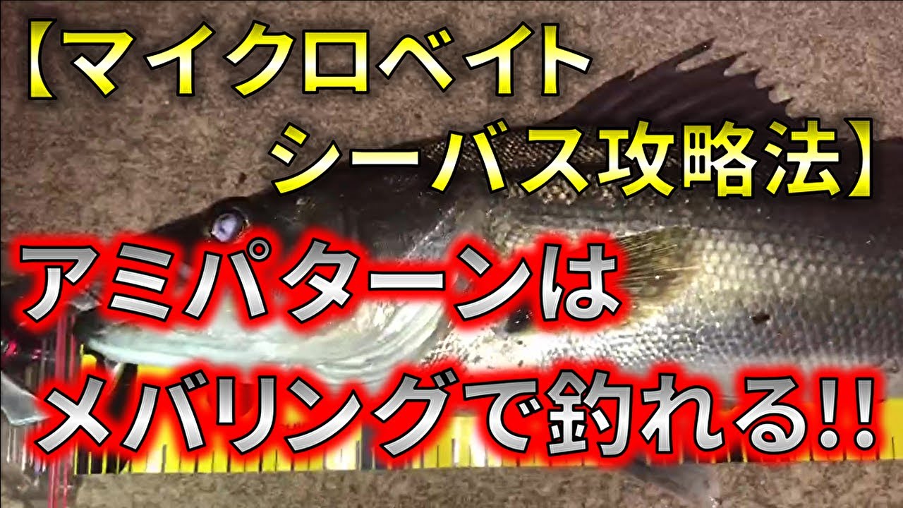【マイクロベイト/シーバス攻略法】アミパターンはメバリングで釣れる!!