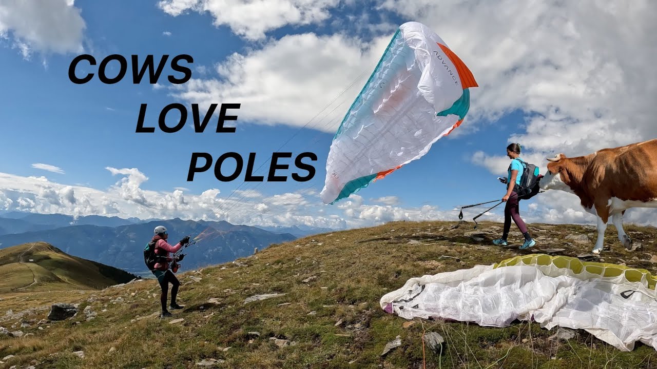 Cows Love Poles - Special Hike & Fly