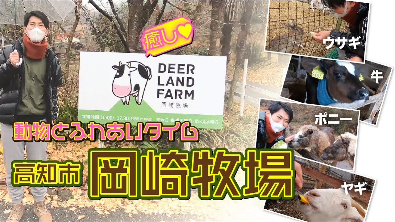 高知県内にある「岡崎牧場」で動物と触れ合い！！癒されました・・・　【高知観光】