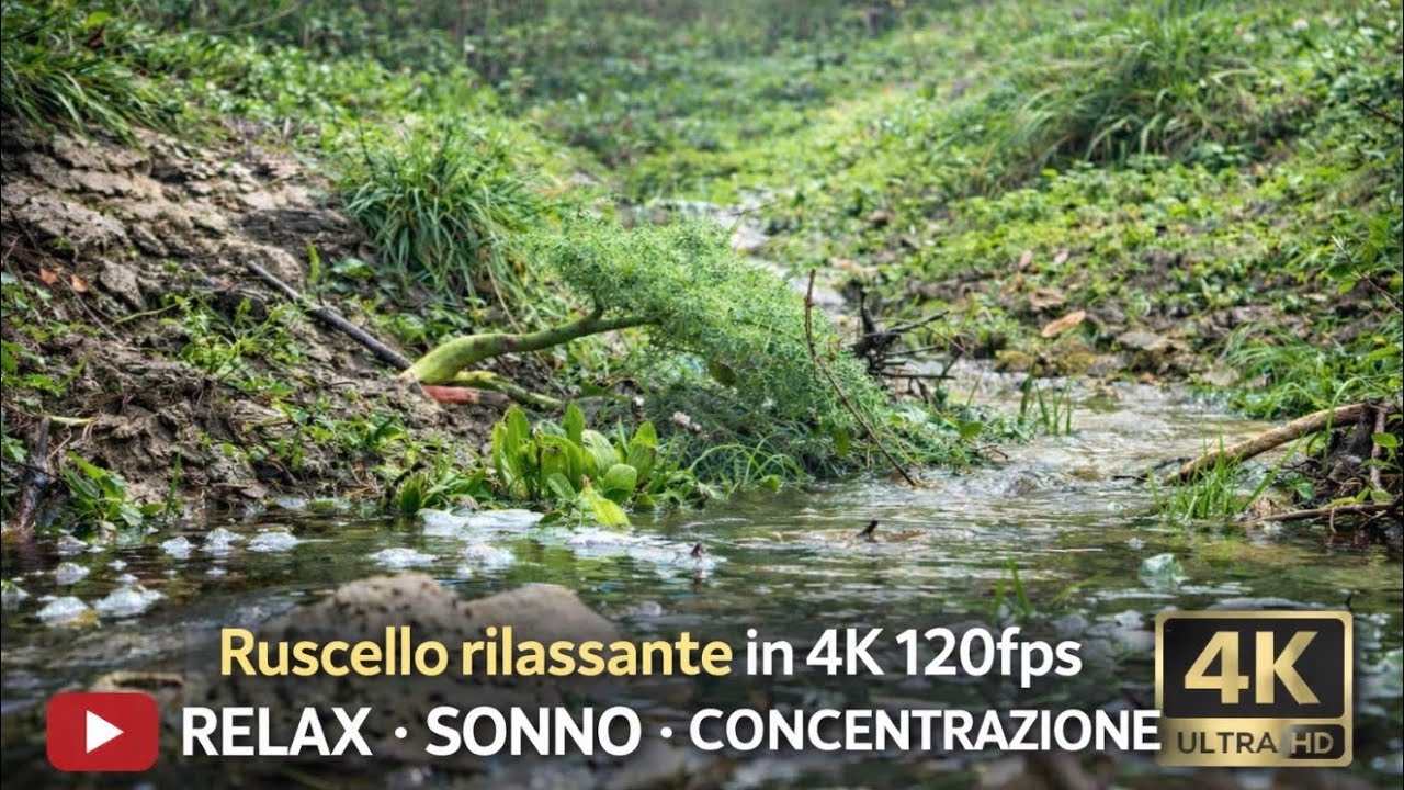 Ruscello rilassante in 4K 120fps 🌊 Suoni naturali dalla Sicilia per relax, sonno e concentrazione