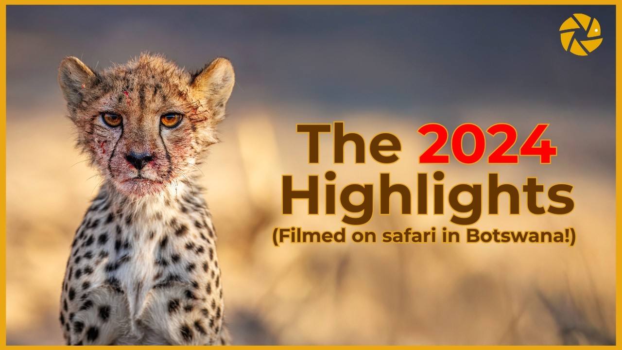 Watch Our&nbsp;Botswana&nbsp;Wildlife&nbsp;Photography&nbsp;Highlights for 2024