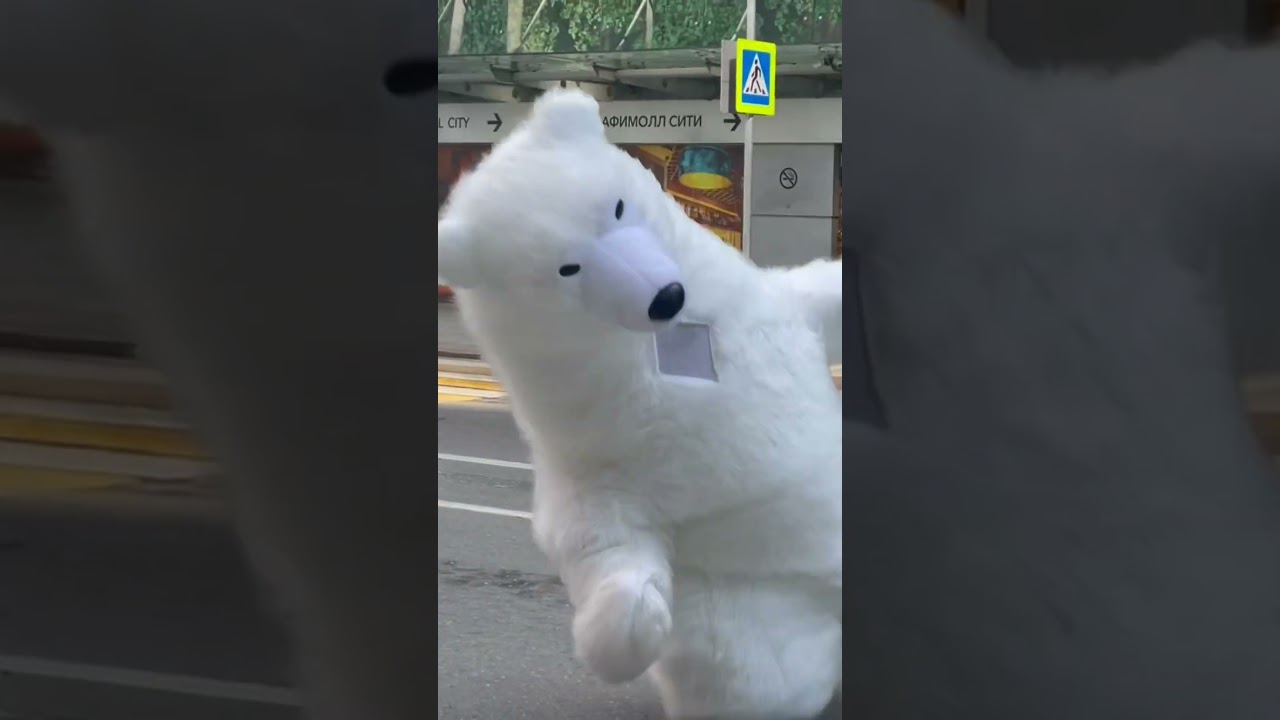Белые мишки  #bears