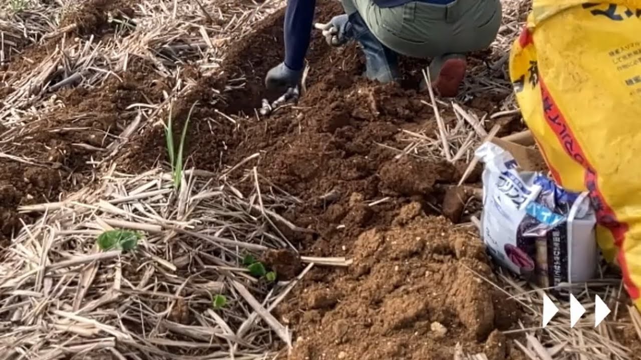 電動耕運機は捕植に使えるのか