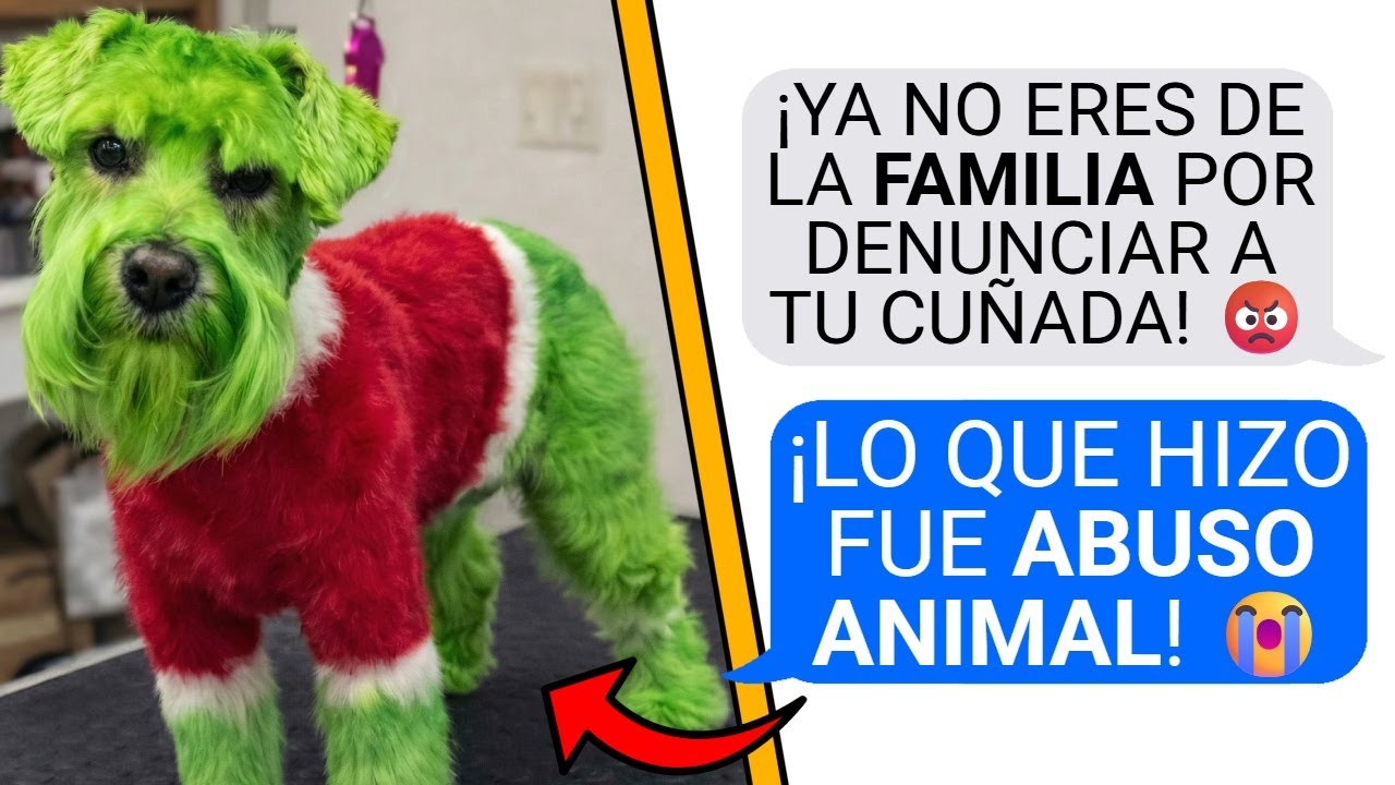 DENUNCIÉ a mi CUÑADA por MALTRATO ANIMAL y Mi FAMILIA me EXILIÓ | HISTORIAS de REDDIT