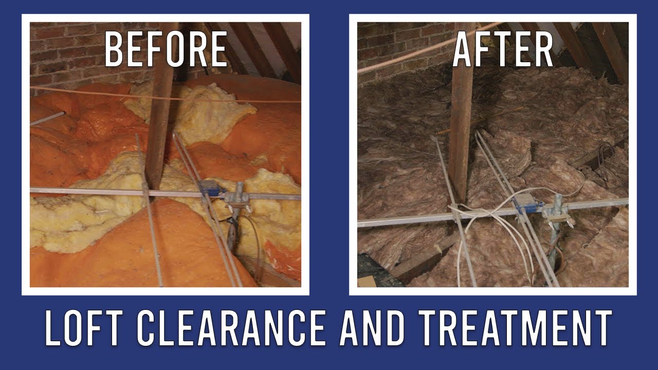 Loft Clearance and Treatment