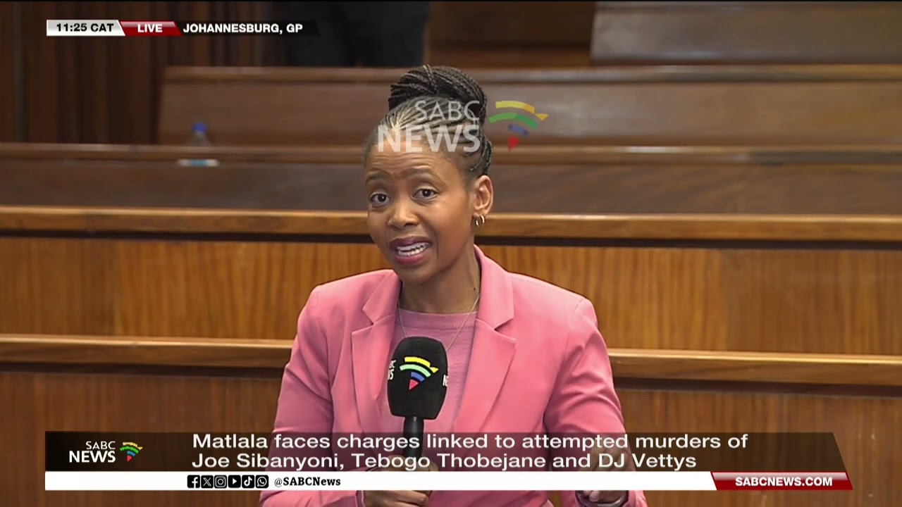 Attempted murder trial against Matlalas, hitmen and co-accused under way - State calls first witness