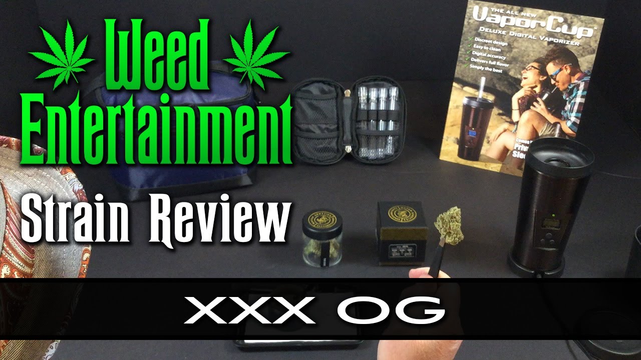 XXX OG - Indica - by Maven Genetics - Strain Review - from Buds & Roses, Studio City Ca