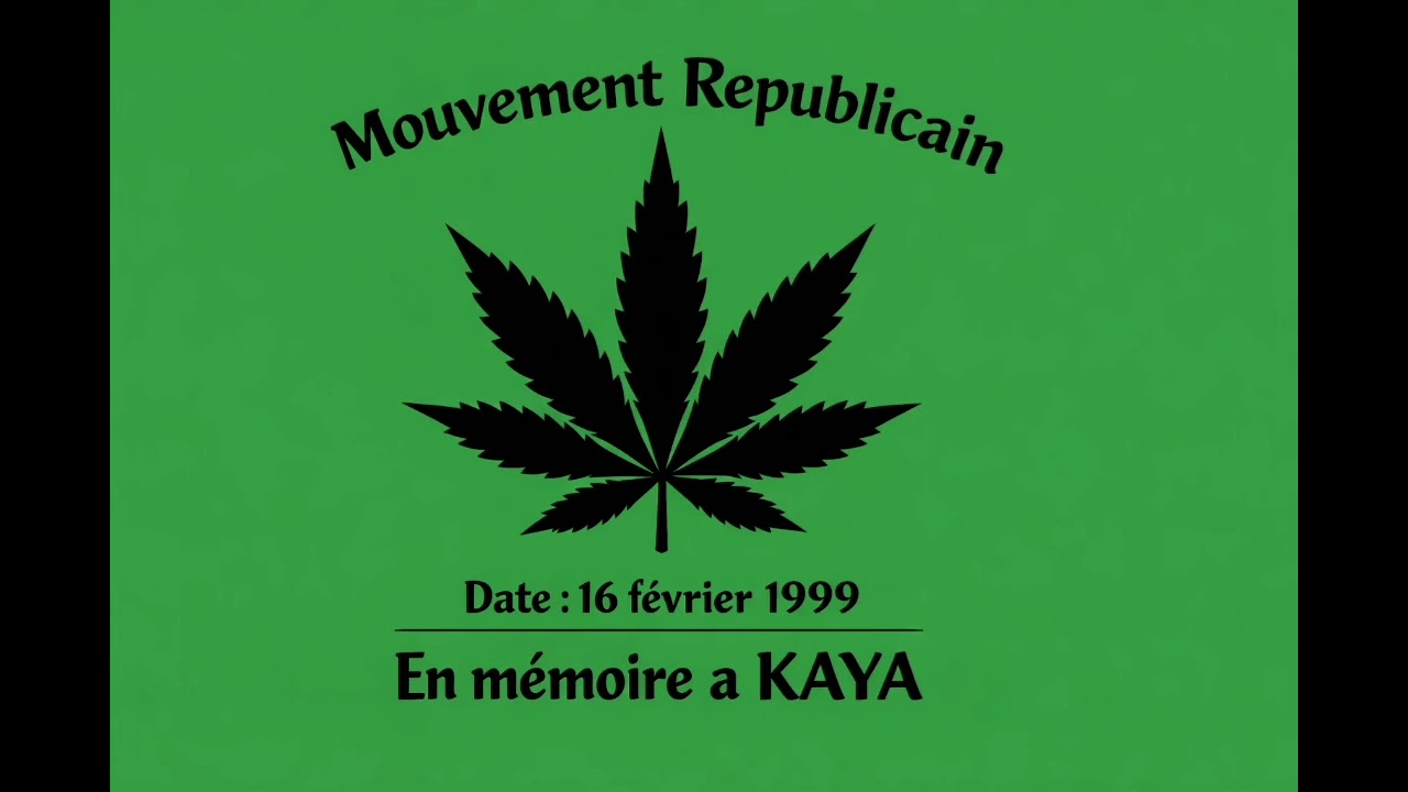 KAYA - Légalisation 2026