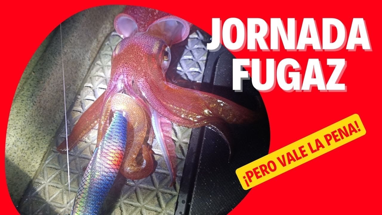 Solo tenemos hasta las 10 horas para pescar calamares. Tiprun desde kayak.
