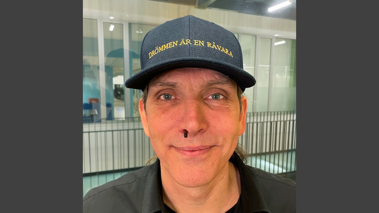 Lyckokakor
