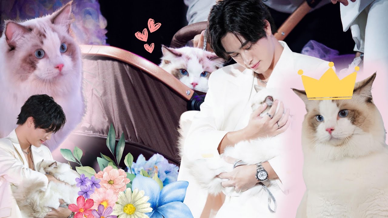 [30.05.24] Nekko Press Con (GEMINI ft. Lord Jumu) Cre Twitter