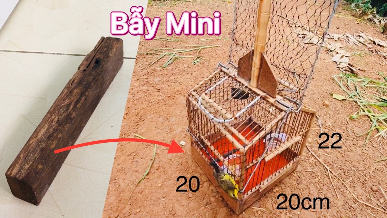 Hướng dẫn Các bước làm Lồng bẫy chim Hút mật Mini siêu nhạy