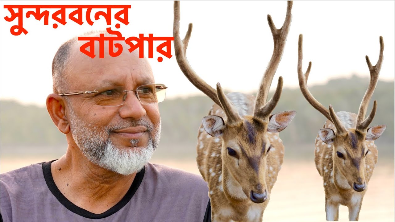 সুন্দরবন ভ্রমণে বাটপার থেকে সাবধান || Group Tour, The Largest Mangrove Forest, Sundarban Vlog #2